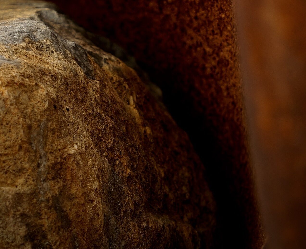 FROTTAGE No.1 - OKURAYAMA STUDIO